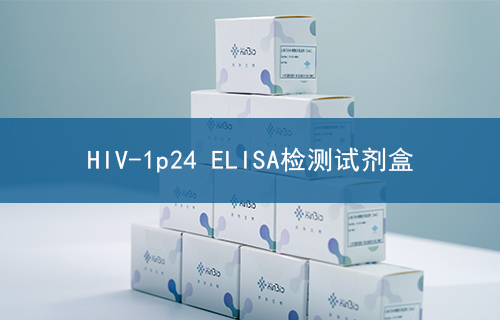 HIV-1p24 ELISA检测试剂盒